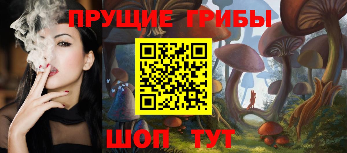 дарнет шоп  Вход с VPN  Георгиевск  Псилоцибиновые грибы MAGIC MUSHROOMS 